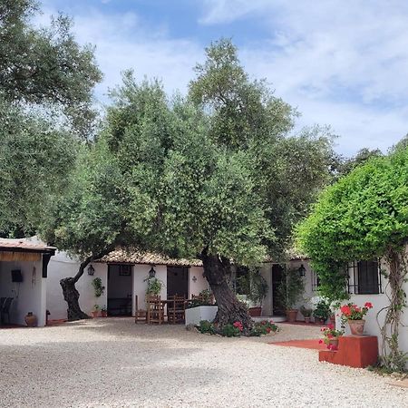 Casa Abanto Villa Ronda Bagian luar foto