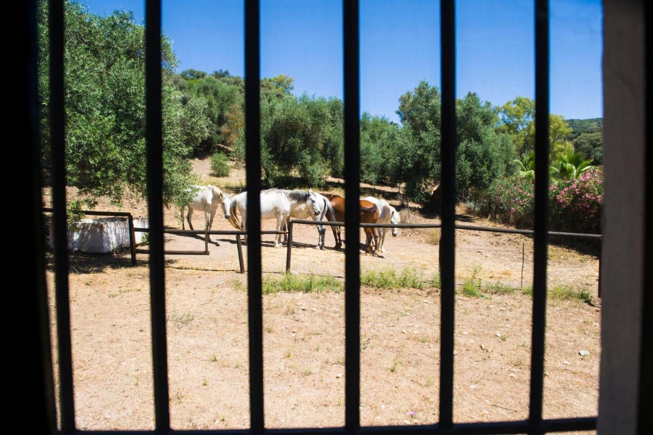 Casa Abanto Villa Ronda Bagian luar foto