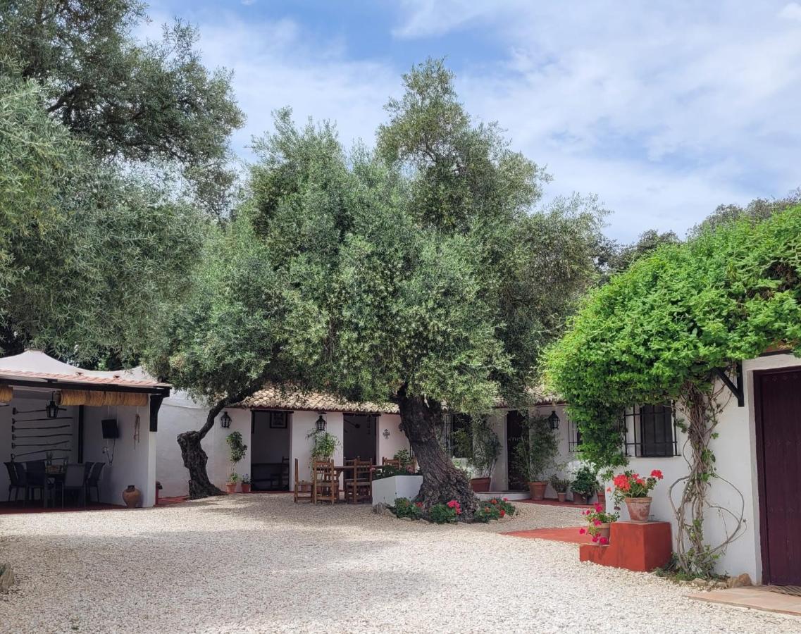 Casa Abanto Villa Ronda Bagian luar foto