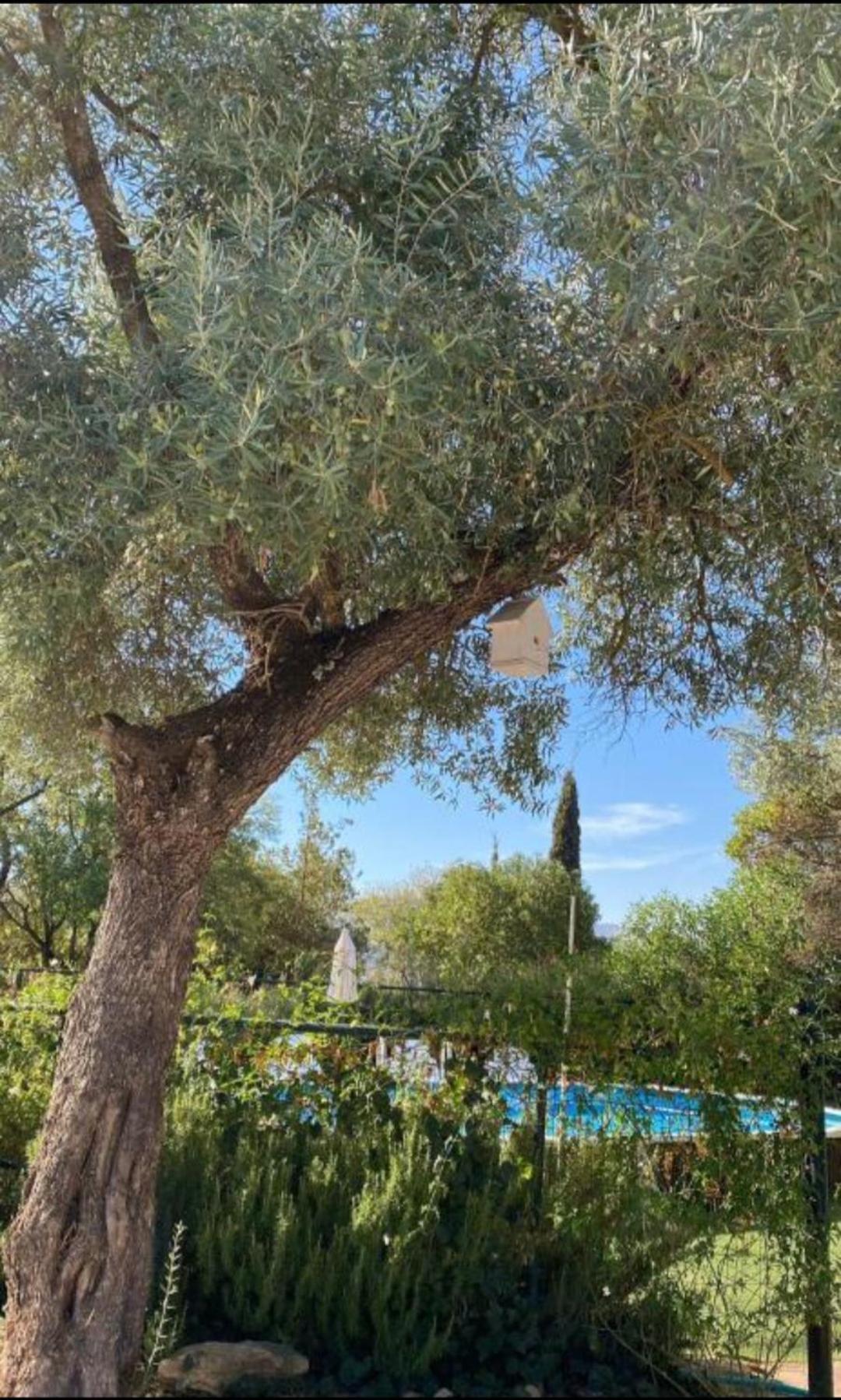 Casa Abanto Villa Ronda Bagian luar foto