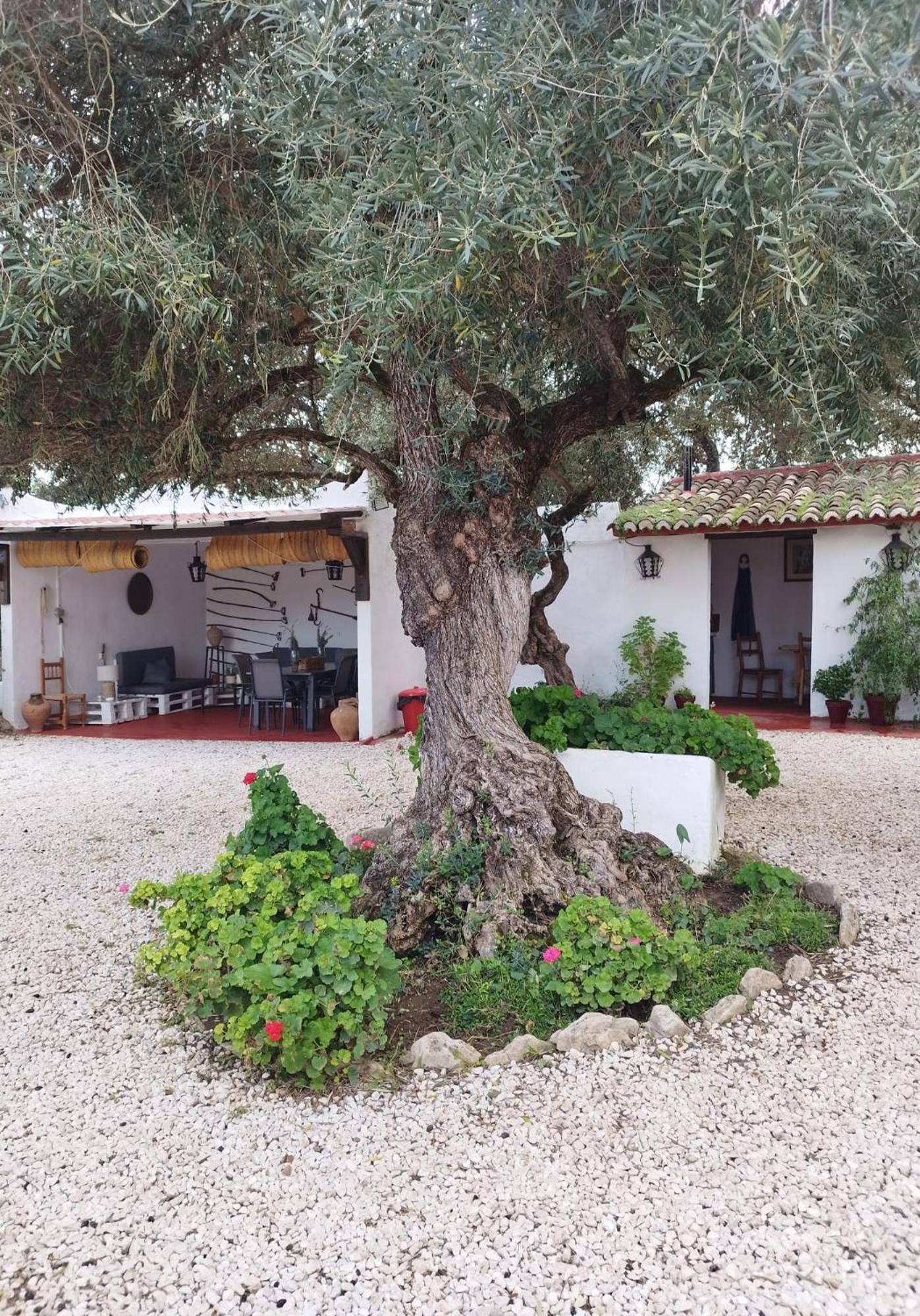 Casa Abanto Villa Ronda Bagian luar foto